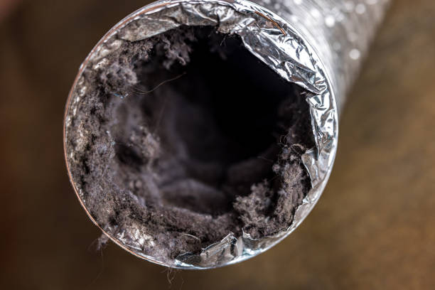 Best Professional Duct Cleaning Services  in Coventry Lake, CT