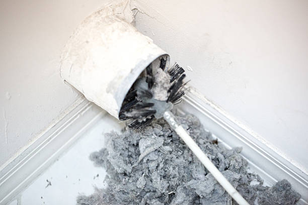 Air Duct Mold Removal in Coventry Lake, CT